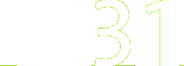 Número 31